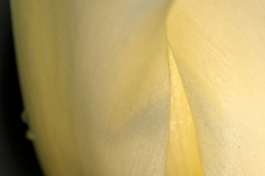 EHO_022631